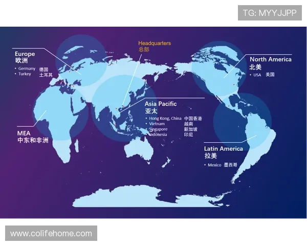 918博天棠积极布局海外市场加快国际化步伐推动企业全球化战略实施
