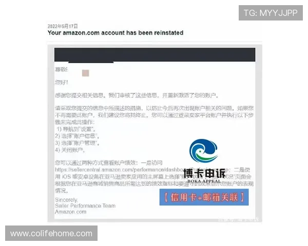 博卡登录平台登录流程详解帮助用户顺利进入账号