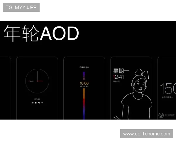 多功能博客app下载工具助力内容创作者高效发布,提升博客影响力与阅读量