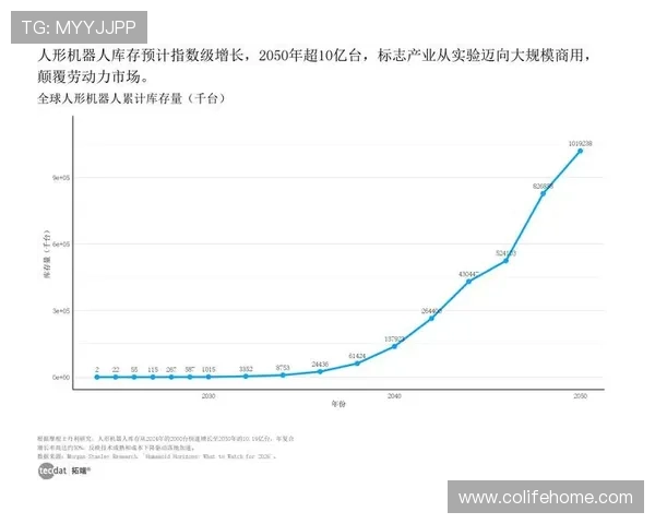 彭博资讯中文网:为企业提供精准市场数据与行业趋势分析