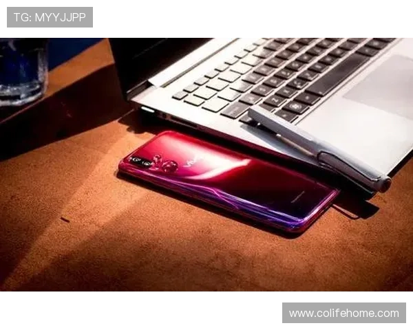 天联娱乐app多平台兼容性分析，支持多设备无缝切换体验流畅